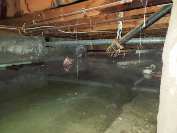 Best Ceiling water damage repair  in Sullivan Gardens, TN