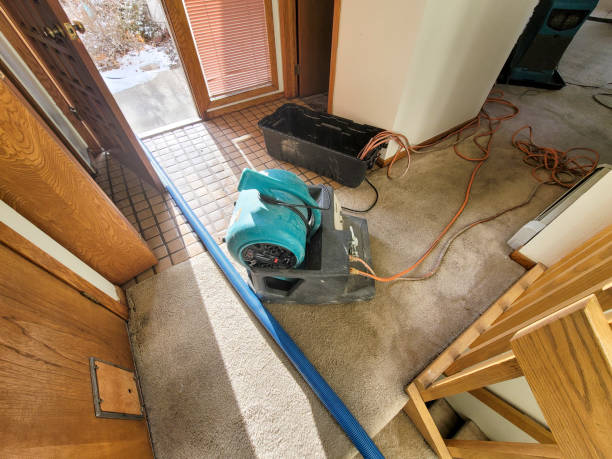Best Water damage restoration near me  in Sullivan Gardens, TN