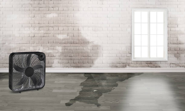 Carpet water damage restoration in TN