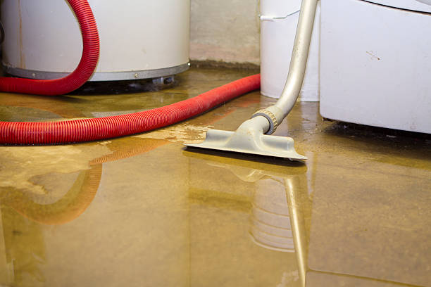 Carpet water damage restoration in TN