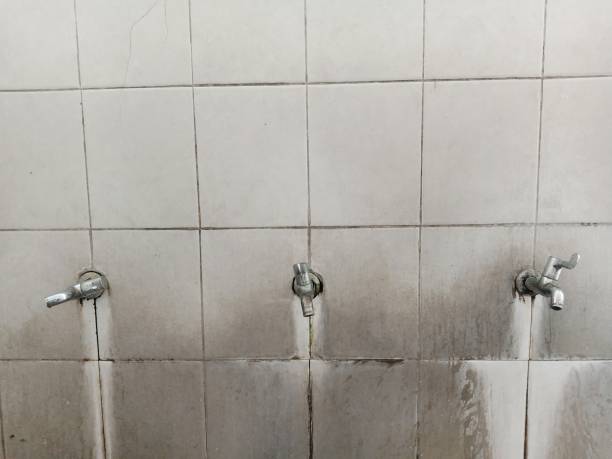 Best 24-hour water damage restoration  in Sullivan Gardens, TN
