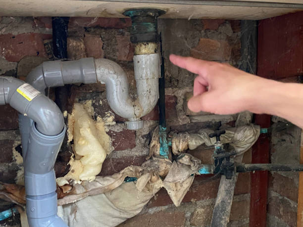 Best Carpet water damage restoration  in Sullivan Gardens, TN