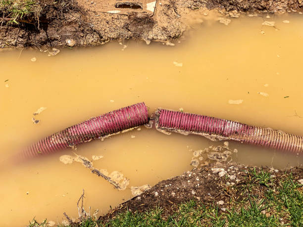 Best Professional water damage repair  in Sullivan Gardens, TN