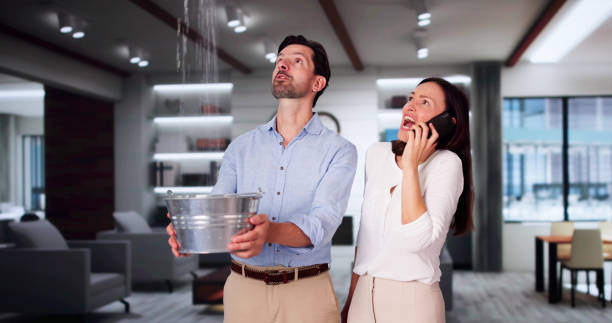 Best Ceiling water damage repair  in Sullivan Gardens, TN