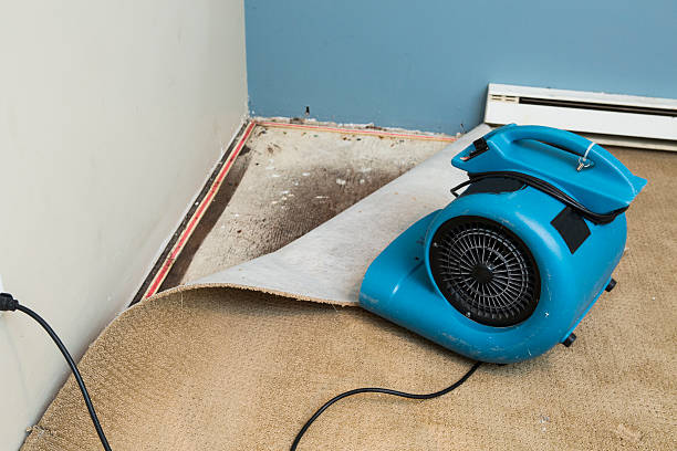 Professional Water damage restoration in TN